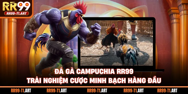 Đá Gà Campuchia RR99 - Trải Nghiệm Cược Minh Bạch Hàng Đầu
