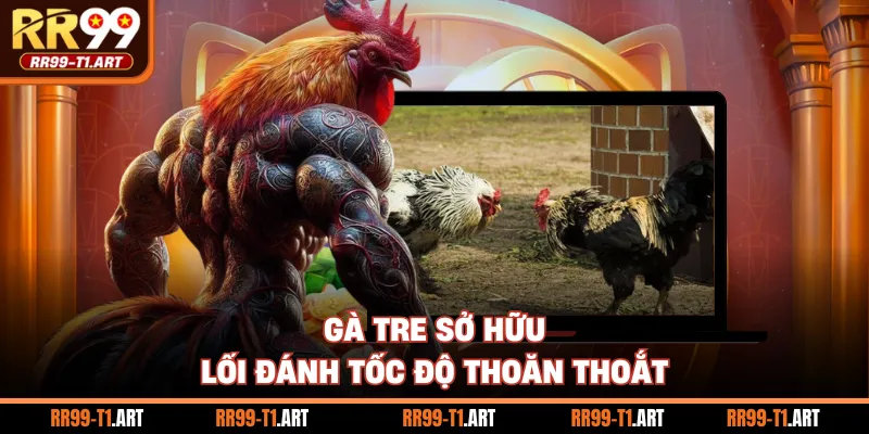 Gà tre sở hữu lối đánh tốc độ thoăn thoắt