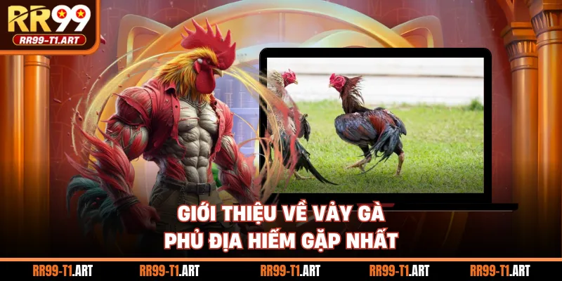 Giới thiệu về vảy gà phủ địa hiếm gặp nhất