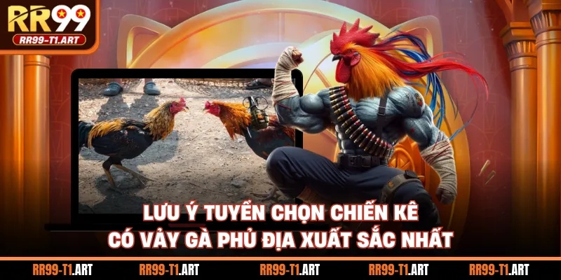 Lưu ý tuyển chọn chiến kê có vảy gà phủ địa xuất sắc nhất