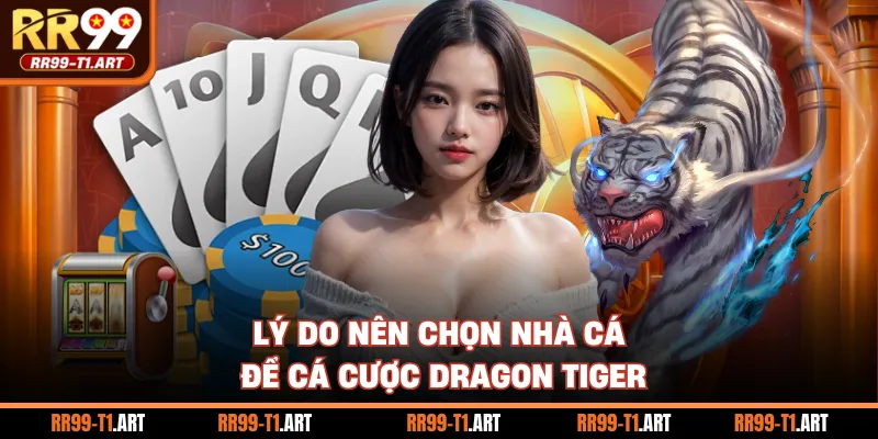 Lý do nên chọn nhà cái để cá cược Dragon Tiger