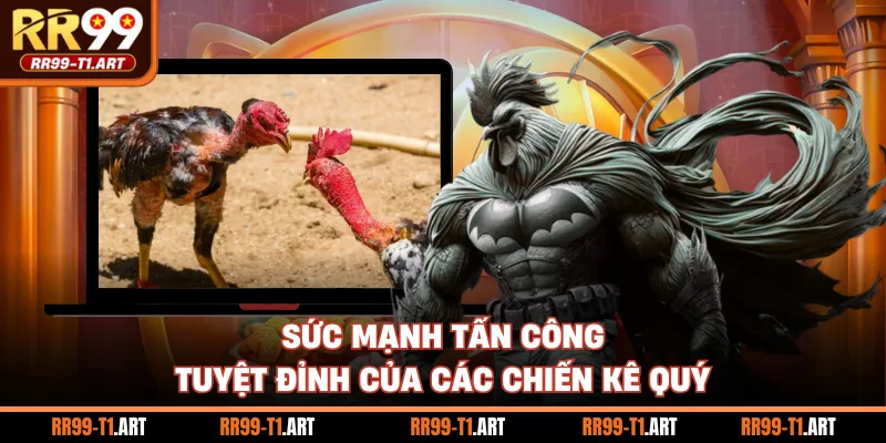 Sức mạnh tấn công tuyệt đỉnh của các chiến kê quý