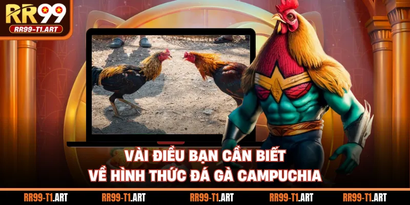 Vài điều bạn cần biết về hình thức đá gà Campuchia