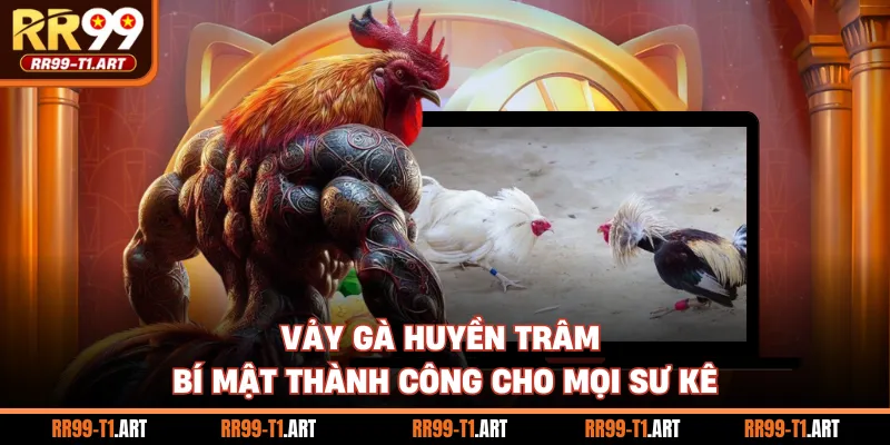 Vảy Gà Huyền Trâm - Bí Mật Thành Công Cho Mọi Sư Kê